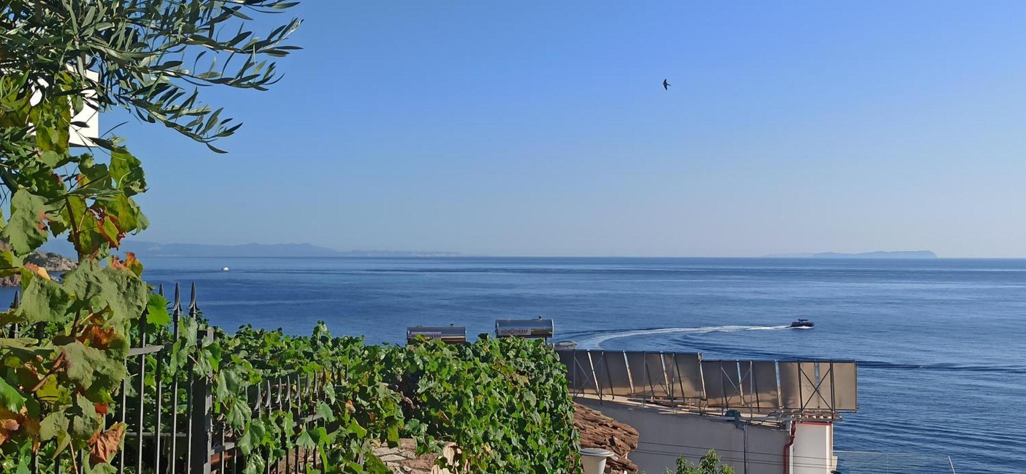Relaxation Place Hotel Himare Exterior photo